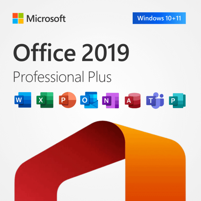 Microsoft Office 2019 Professional Plus for 1 PC – Instant digital delivery