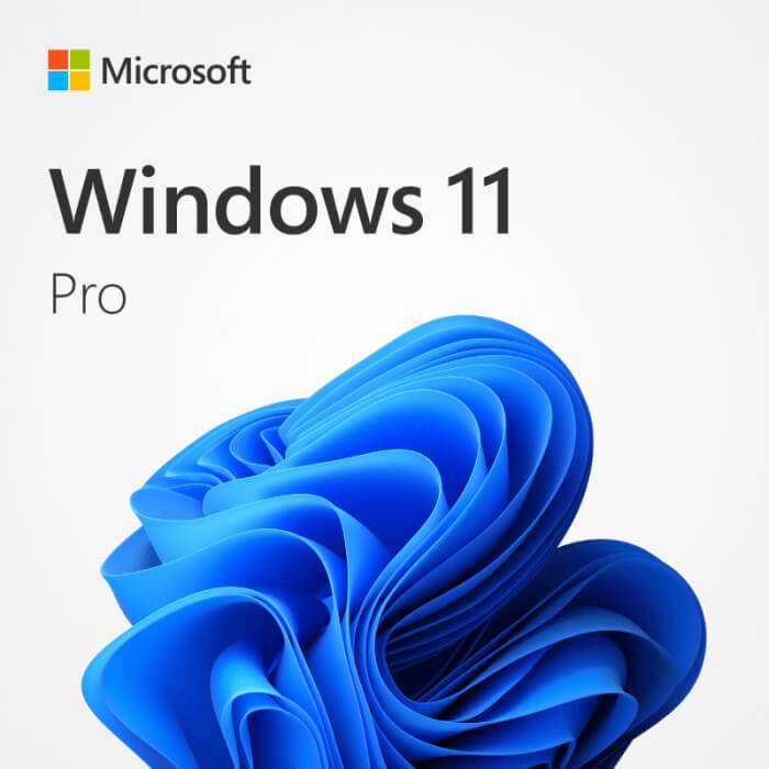 Windows 11 Professional - A new era of productivity and design, available at GetSoftwareDeals.com